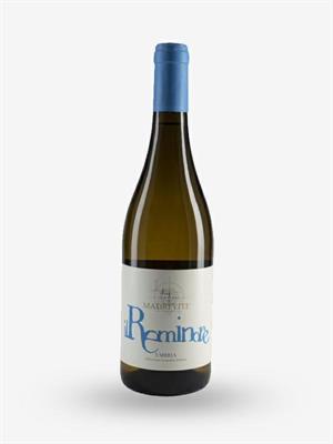 UMBRIA BIANCO IGT 2023 IL REMINORE MADREVITE LT 0,750