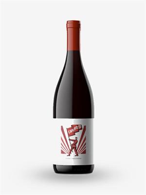 UMBRIA ROSSO IGP 2016 CAPOFOCO MADREVITE LT 0,750